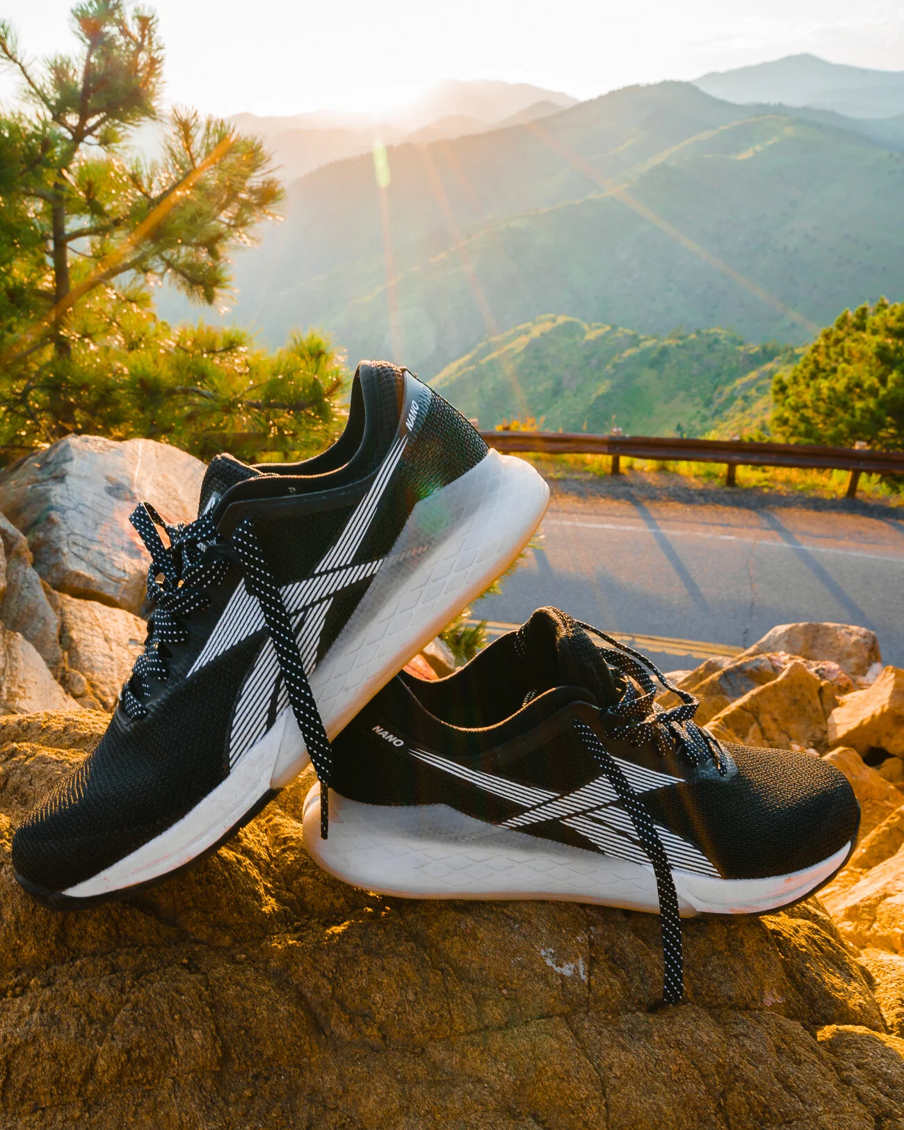 Reebok nano hotsell 9 dicks